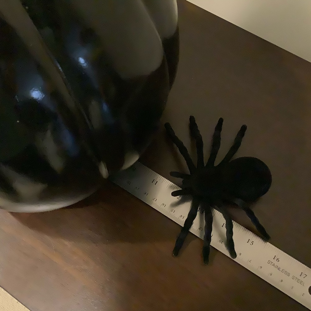 Large Black Halloween Pumpkin Decor 🦇 - Picture 4 of 4